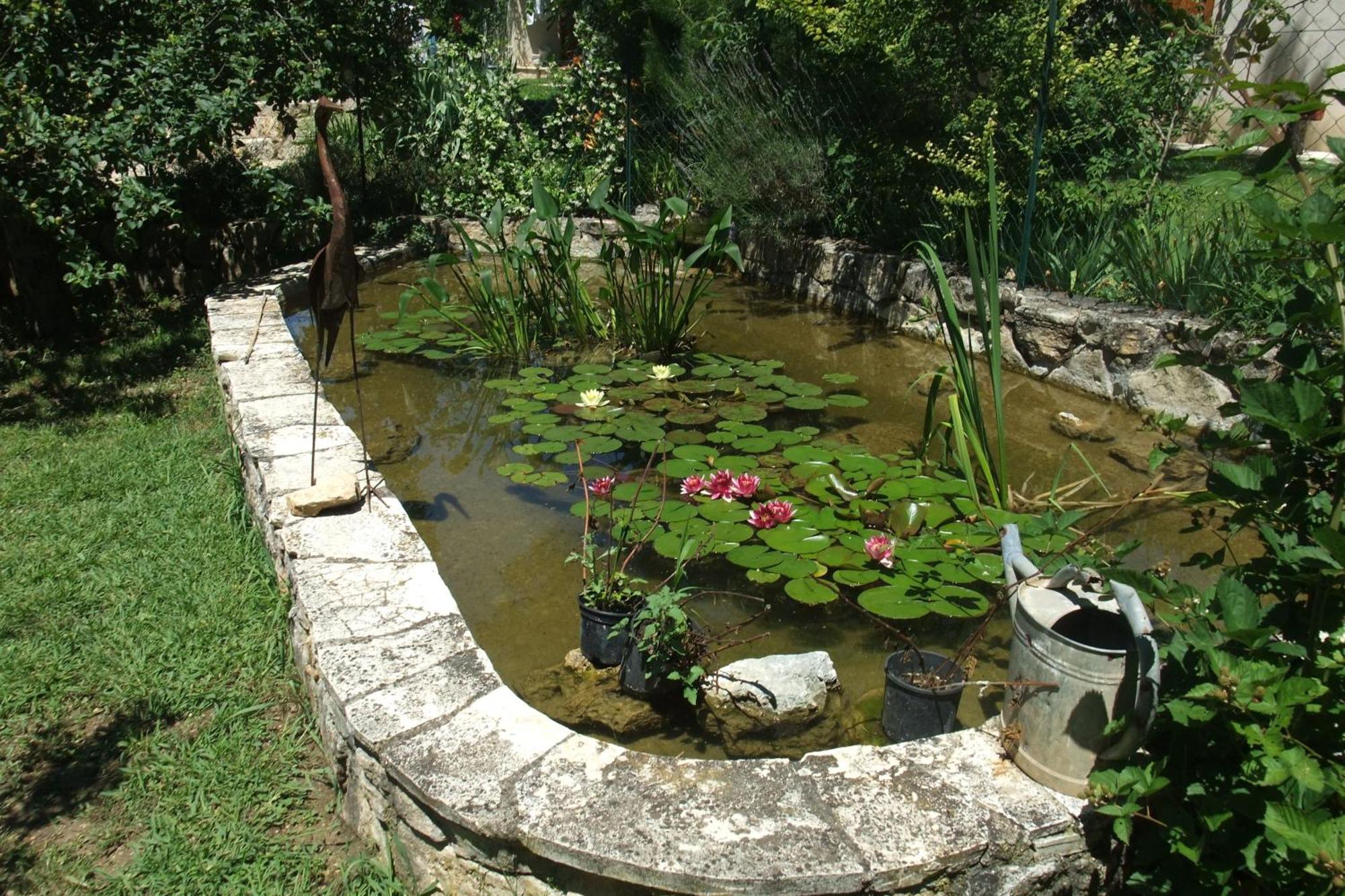 Gite La Paillote Montauroux Ngoại thất bức ảnh
