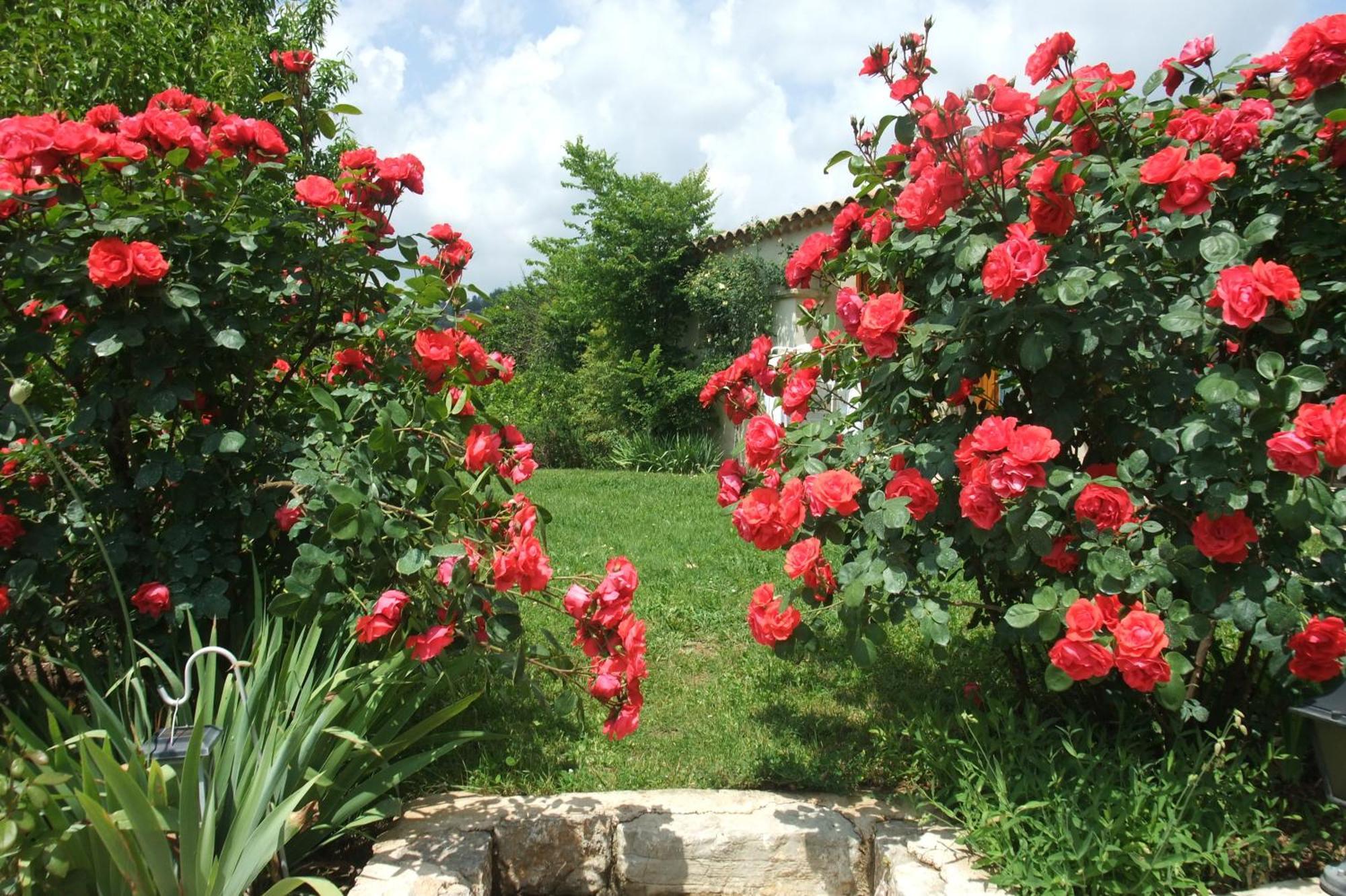Gite La Paillote Montauroux Ngoại thất bức ảnh