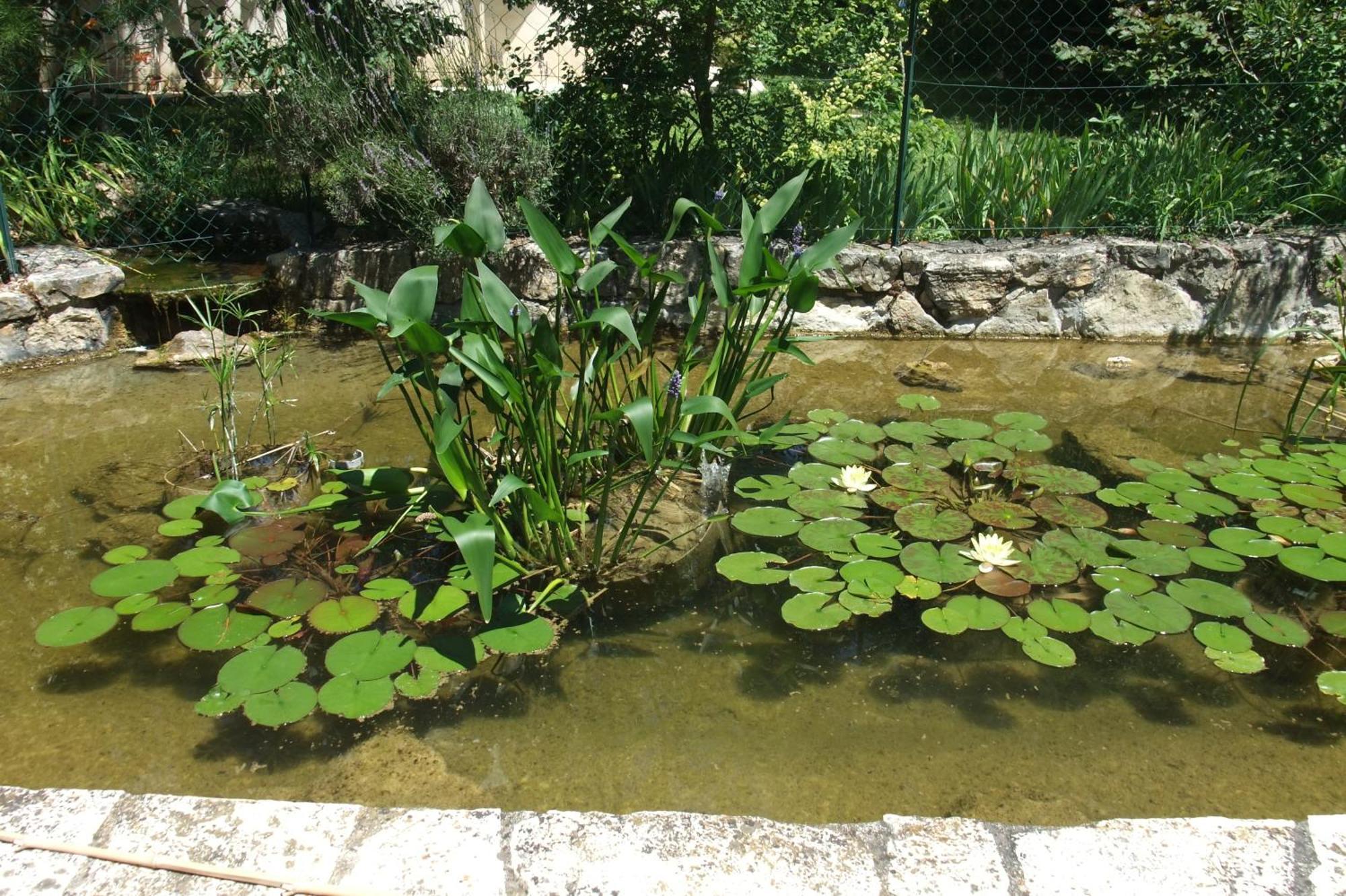 Gite La Paillote Montauroux Ngoại thất bức ảnh